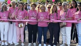 karkinos-mastou-i-survivors-me