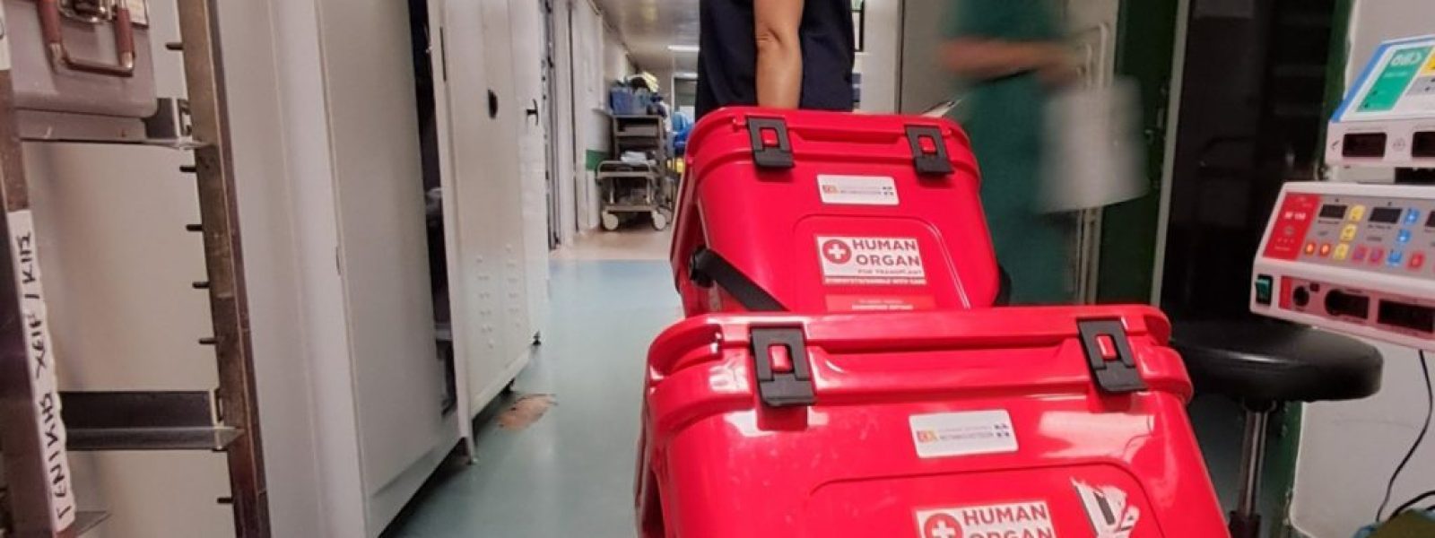 rekor-metamoschefseon-apo-apoviosantes-dotes Ρεκόρ μεταμοσχεύσεων από αποβιώσαντες δότες το 2025 – Σώθηκαν 240 ασθενείς