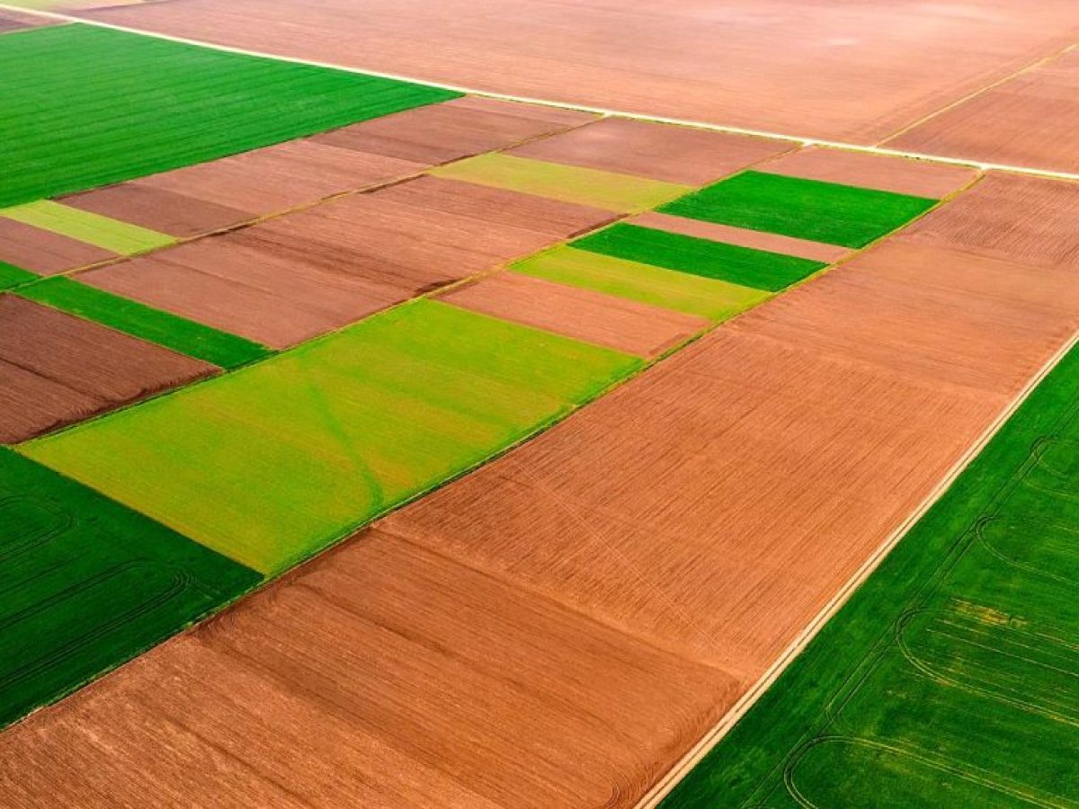 Χαρτογραφώντας τα μικροβιώματα στα εδάφη