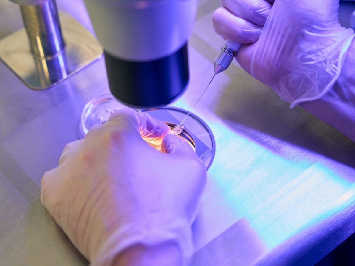 Ελπίδα με τις επιστημονικές εξελίξεις του 2025: Από τον περιορισμό ασθενειών μέχρι τη μείωση της τρύπας του όζοντος