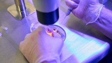 Ελπίδα με τις επιστημονικές εξελίξεις του 2025: Από τον περιορισμό ασθενειών μέχρι τη μείωση της τρύπας του όζοντος