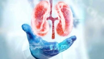 Αισθητήρας πίεσης: Πώς επηρεάζει τους νεφρούς στον έλεγχο υγρών;