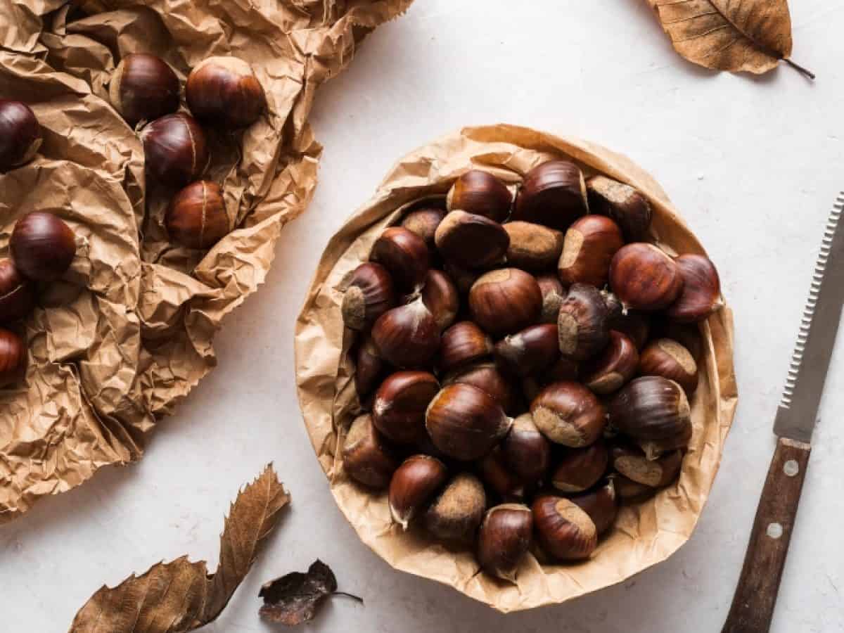 &Kappa;ά&sigma;&tau;&alpha;&nu;&omicron; &ndash; &tau;&omicron; superfood: &Eta; &theta;&rho;&epsilon;&pi;&tau;&iota;&kappa;ή &alpha;&xi;ί&alpha; &kappa;&alpha;&iota; &omicron;&iota; &epsilon;&upsilon;&epsilon;&rho;&gamma;&epsilon;&tau;&iota;&kappa;έ&sigmaf; &tau;&omicron;&upsilon; &iota;&delta;&iota;ό&tau;&eta;&tau;&epsilon;&sigmaf; &sigma;&tau;&omicron;&nu; &omicron;&rho;&gamma;&alpha;&nu;&iota;&sigma;&mu;ό