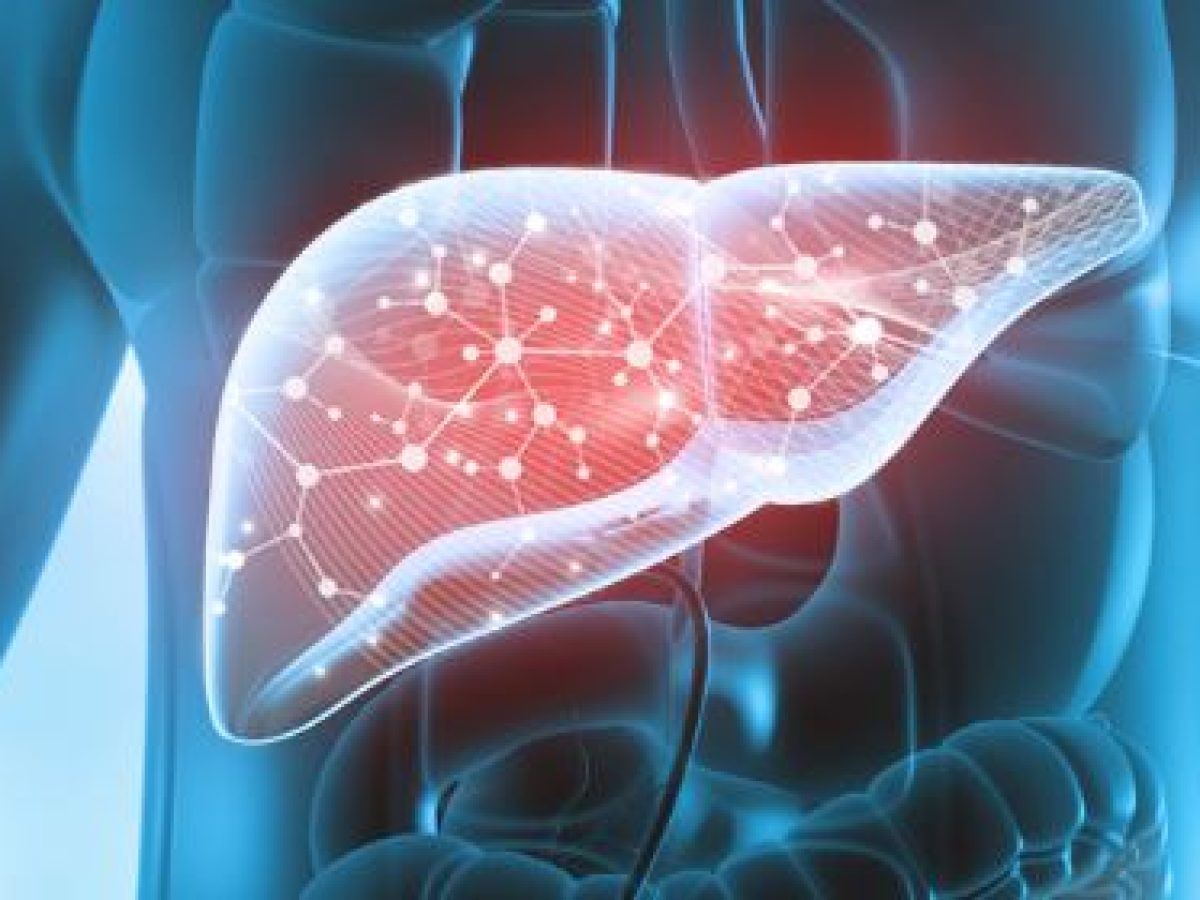 Λιπώδης νόσος του ήπατος: Τα κύτταρα “ζόμπι” προκαλούν φλεγμονή