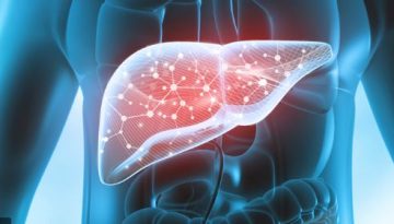 Λιπώδης νόσος του ήπατος: Τα κύτταρα “ζόμπι” προκαλούν φλεγμονή