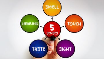 Νομίζετε ότι έχετε 5 αισθήσεις; Επιστήμονας ισχυρίζεται ότι ενδέχεται να φτάνουν και τις 33
