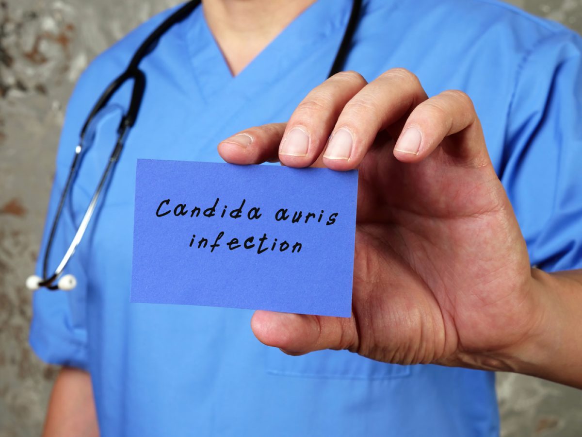 Candida auris: Ο «σιωπηλός» υπερμύκητας που εξαπλώνεται παγκοσμίως και θέτει σε συναγερμό τα συστήματα υγείας