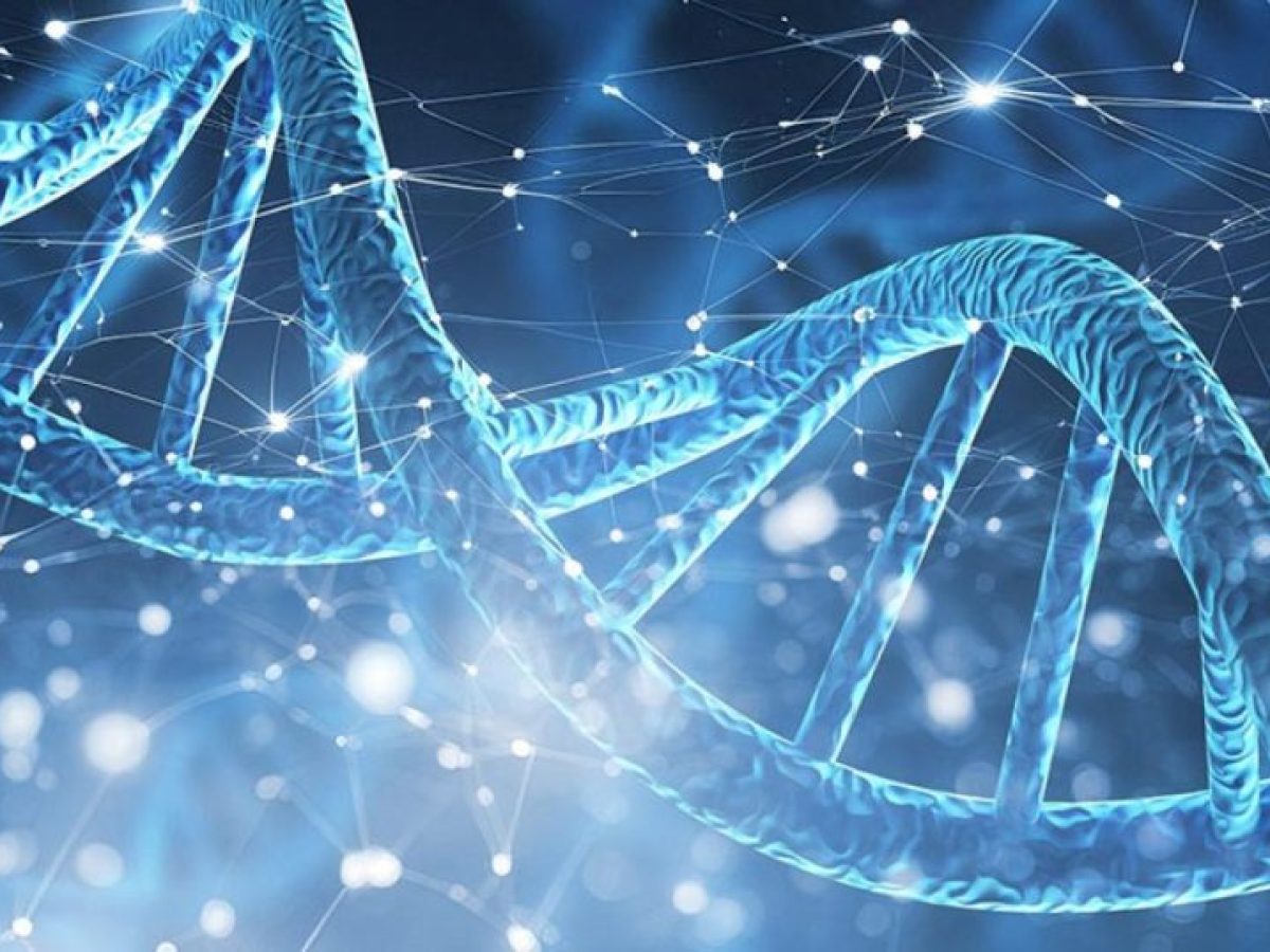 DNA και Τεχνητή Νοημοσύνη: Η νέα τεχνική που αλλάζει τη συνθετική βιολογία