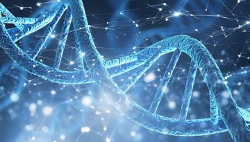 DNA &kappa;&alpha;&iota; &Tau;&epsilon;&chi;&nu;&eta;&tau;ή &Nu;&omicron;&eta;&mu;&omicron;&sigma;ύ&nu;&eta;: &Eta; &nu;έ&alpha; &tau;&epsilon;&chi;&nu;&iota;&kappa;ή &pi;&omicron;&upsilon; &alpha;&lambda;&lambda;ά&zeta;&epsilon;&iota; &tau;&eta; &sigma;&upsilon;&nu;&theta;&epsilon;&tau;&iota;&kappa;ή &beta;&iota;&omicron;&lambda;&omicron;&gamma;ί&alpha;