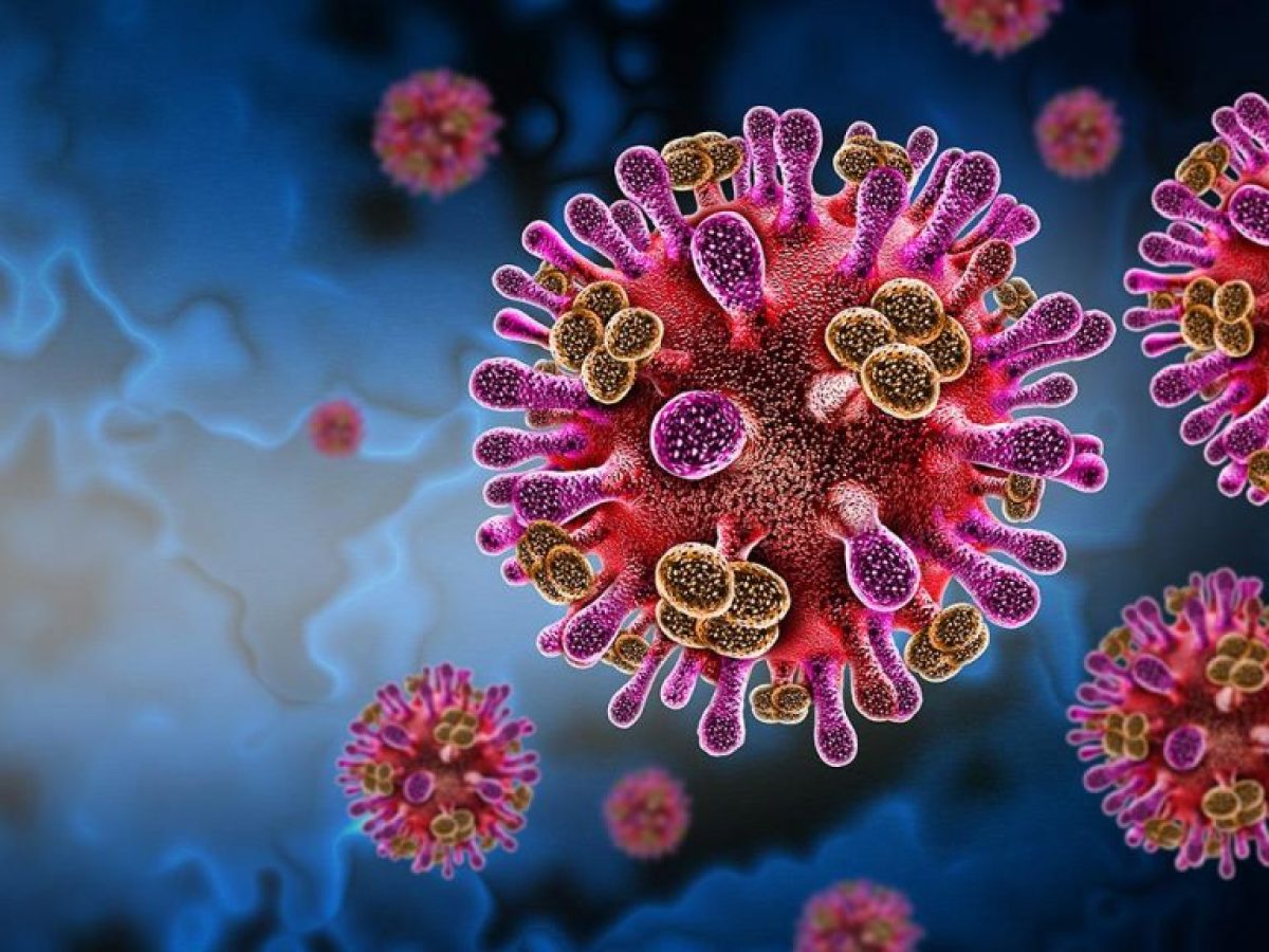 ECDC: Πόσο κινδυνεύουν οι Ευρωπαίοι από τον ιό Nipah – Οδηγίες σε ταξιδιώτες