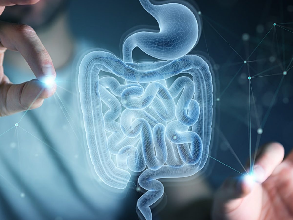 Έντερο: Πώς η αθόρυβη γήρανση «ανοίγει» τον δρόμο για καρκίνο