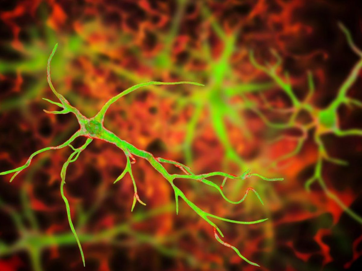 Επαναστατική θεραπεία – Επιστήμονες αντιστρέφουν το Αλτσχάιμερ σε ποντίκια και αποκαθιστούν τη μνήμη