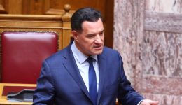 i-anartisi-georgiadi-gia-vinteo
