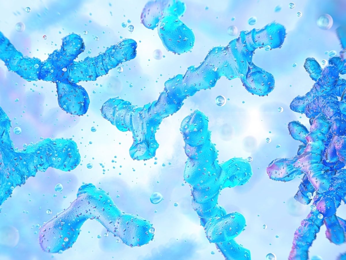 Η «αόρατη» άμυνα του εντέρου: Πρωτεΐνη μπλοκάρει τα μικρόβια πριν μας αρρωστήσουν