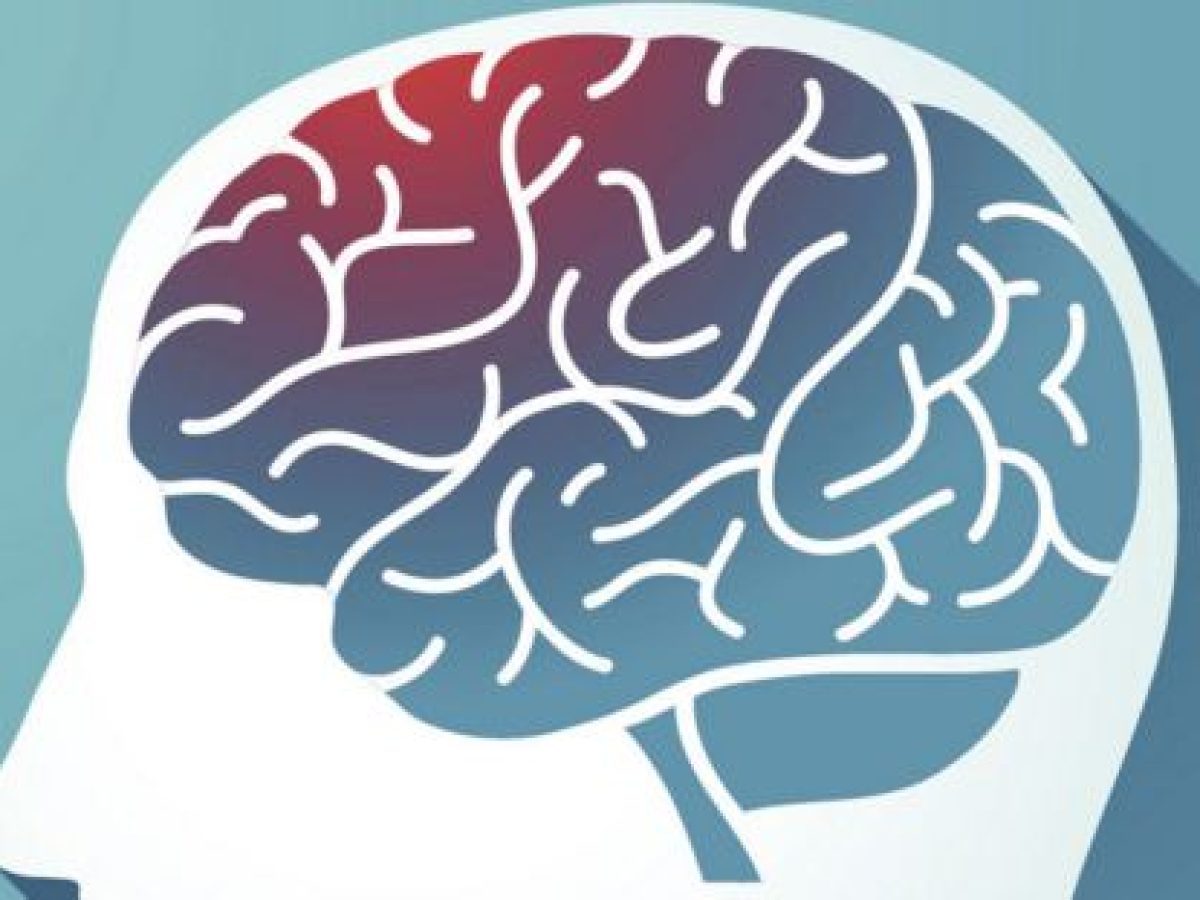 Οι διαφορές φύλου κατά την ανάπτυξη του εγκεφάλου εμφανίζονται στη μήτρα