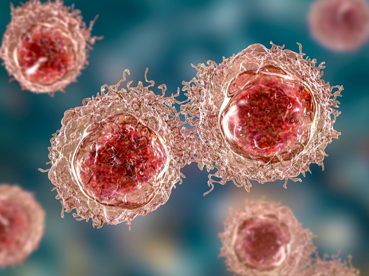 Οι επιστήμονες «έσπασαν» τον κρυφό κώδικα του καρκίνου – Τι ανακάλυψαν