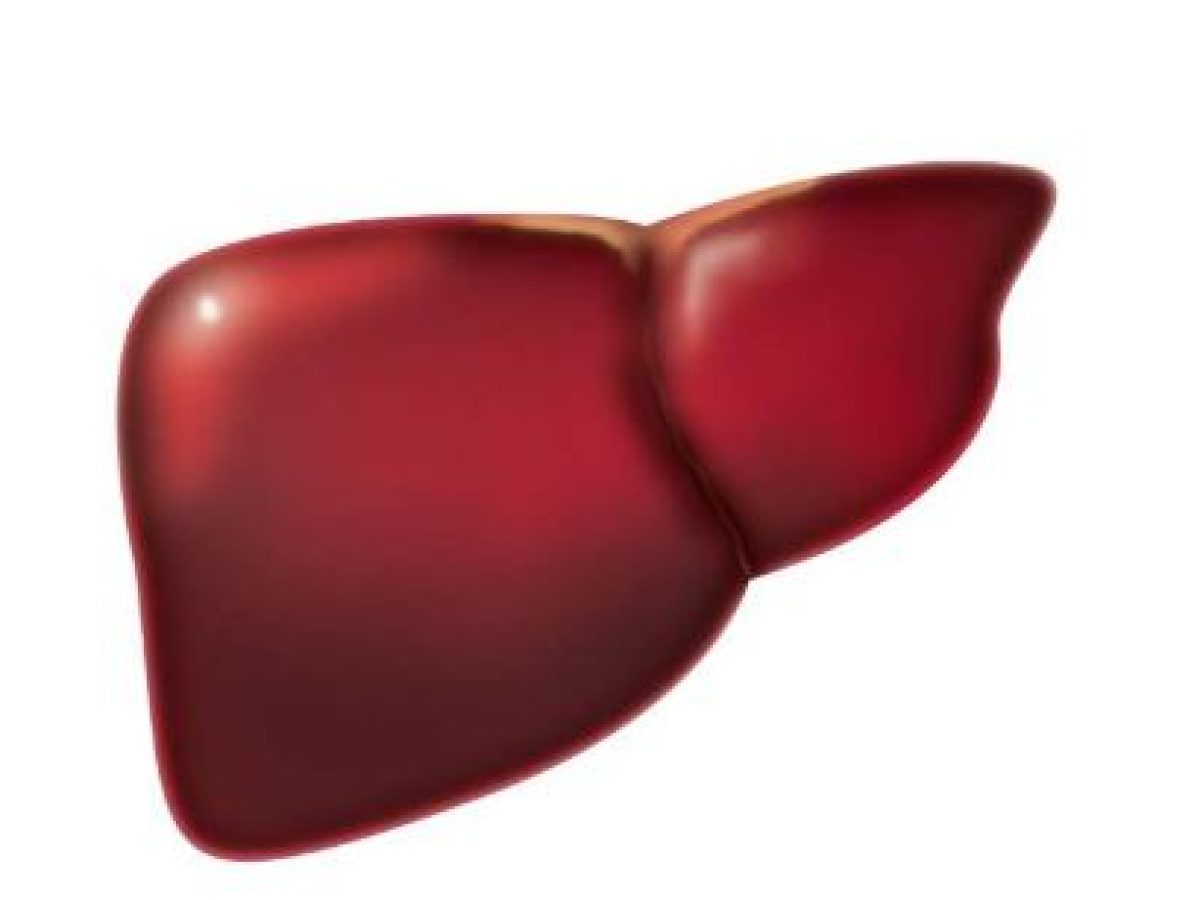 Οι λιγότερες πρωτεΐνες επιβραδύνουν τον καρκίνο του ήπατος