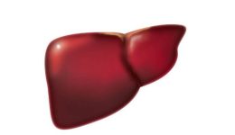 i-ligoteres-proteines-epivradinoun-ton