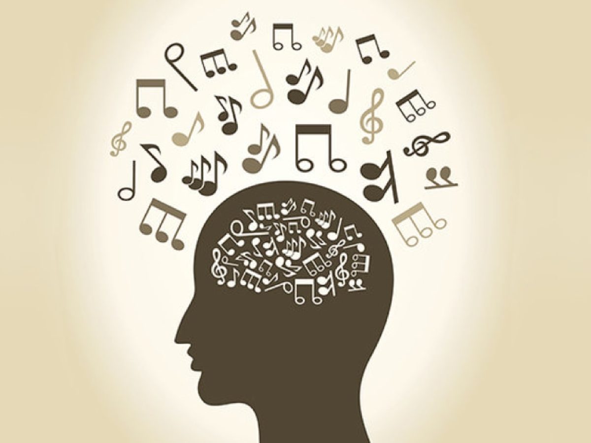 Η νευροπλαστικότητα του εγκεφάλου εξαρτάται από την εμπειρία