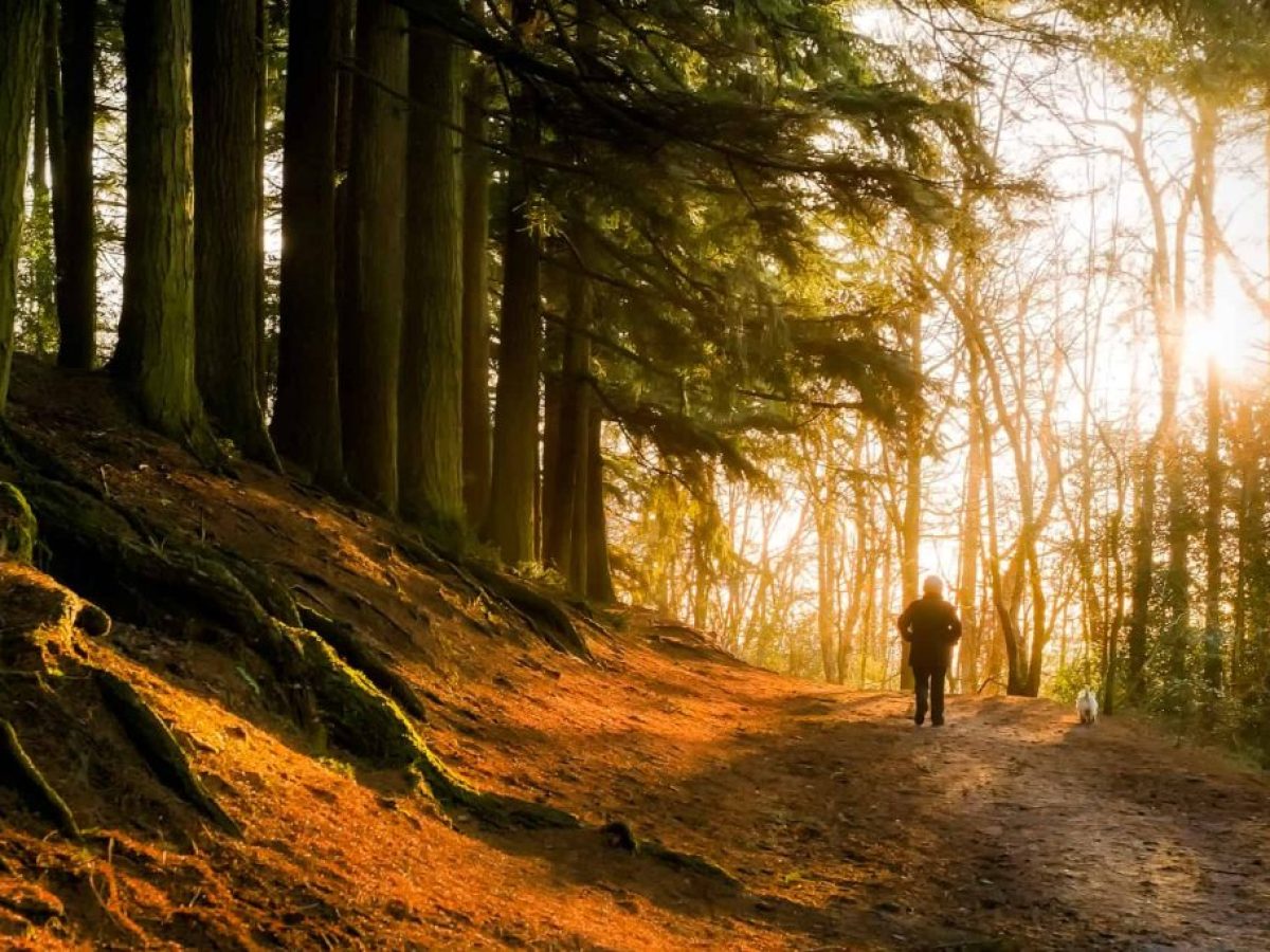 Οι περίπατοι στη φύση ενισχύουν την υγεία και τη μακροζωία των γυναικών