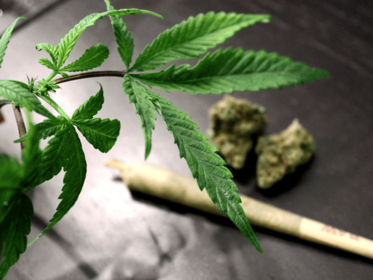 Η συχνή χρήση κάνναβης βλάπτει σοβαρά την καρδιά