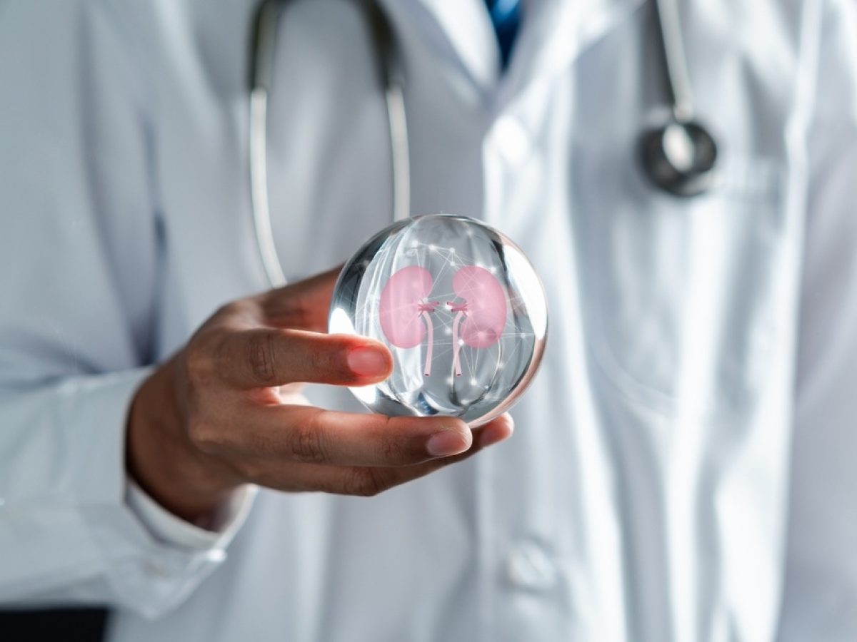 Ιστορική στιγμή – Ρεκόρ μεταμοσχεύσεων το 2025 στην Ελλάδα