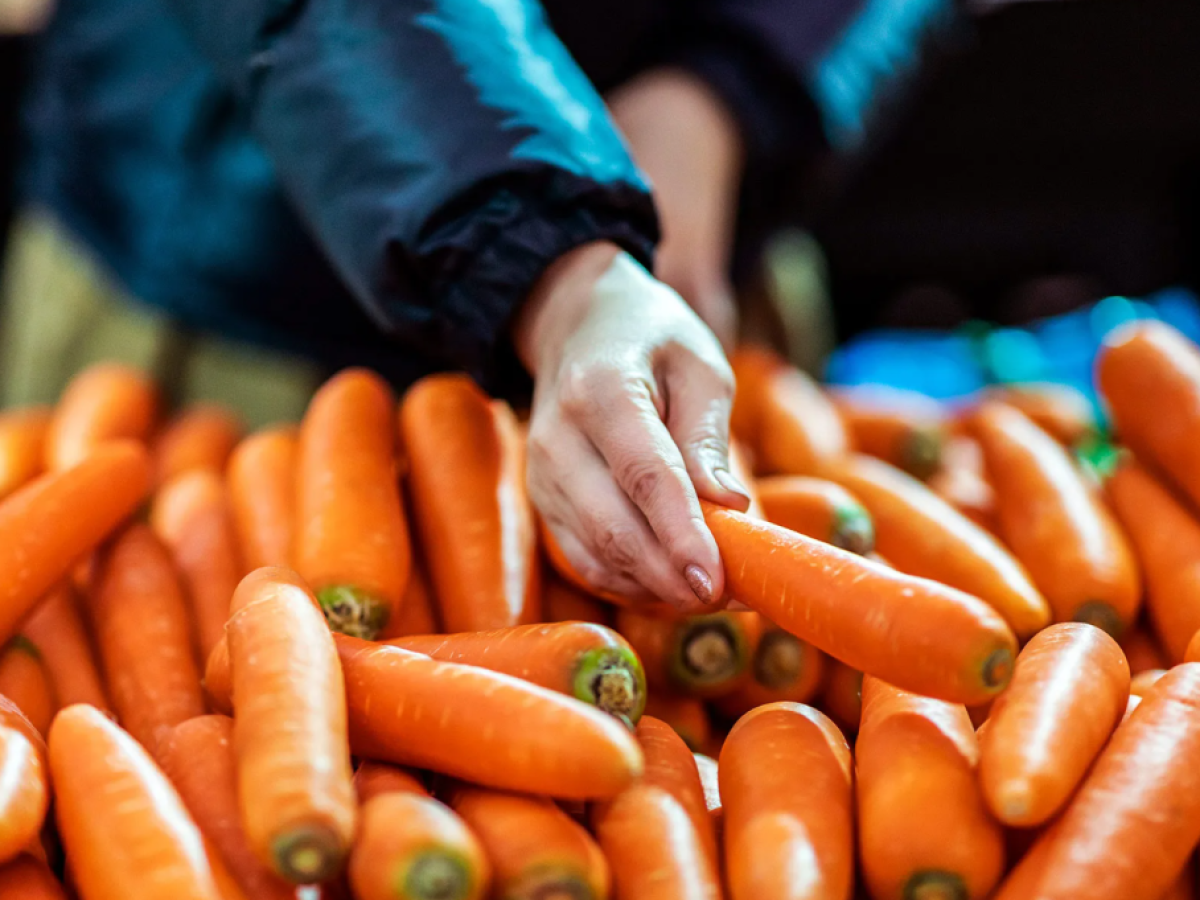 Καρότα: Πέντε σημαντικά οφέλη για την υγεία από την κατανάλωσή τους