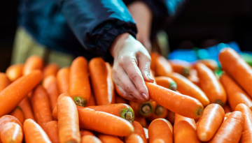 Καρότα: Πέντε σημαντικά οφέλη για την υγεία από την κατανάλωσή τους