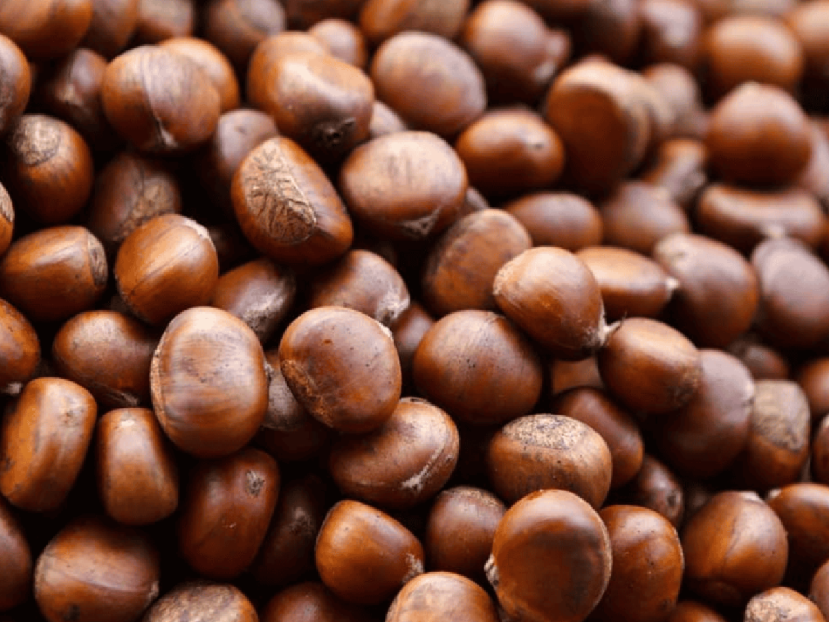 Κάστανα: Τι αλλάζει αν τα τρώτε ωμά, ψητά ή βραστά – Διατροφικά στοιχεία και οφέλη υγείας