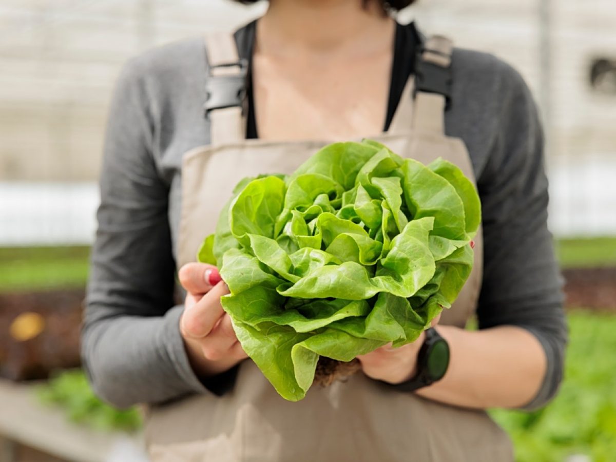 Λαχανικά: «Πρασινίστε» τη διατροφή σας