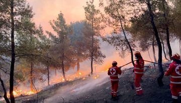 Ο Ελληνικός Ερυθρός Σταυρός στην πρώτη γραμμή της προφοράς και το 2025 – Βίντεο ανασκόπηση