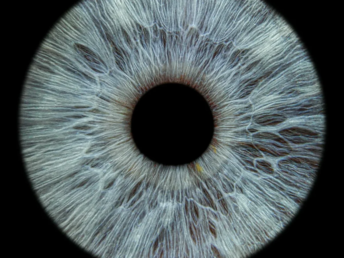 Ο πρώτος 3D-εκτυπωμένος κερατοειδής στον κόσμο αποκαθιστά πλήρως την όραση ασθενούς