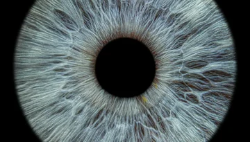 Ο πρώτος 3D-εκτυπωμένος κερατοειδής στον κόσμο αποκαθιστά πλήρως την όραση ασθενούς