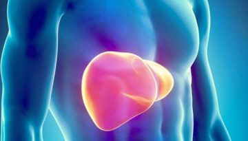 Πώς η ανεπάρκεια κιτρίνης προκαλεί συσσώρευση λίπους στο συκώτι