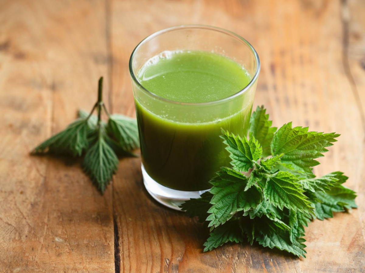 Ρόφημα τσουκνίδας: Ελιξίριο για νεφρά και ζάχαρο