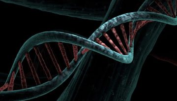 &Sigma;&tau;&rho;&epsilon;&sigmaf;: &Mu;&pi;&omicron;&rho;&epsilon;ί &nu;&alpha; &epsilon;&pi;&eta;&rho;&epsilon;ά&sigma;&epsilon;&iota; &tau;&omicron; DNA &mu;&alpha;&sigmaf;;