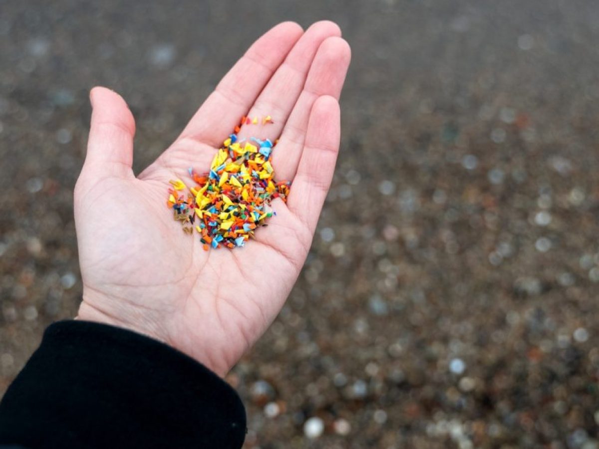 Τελικά, τι συμβαίνει με τα μικροπλαστικά στο σώμα μας; Επιστήμονες αμφισβητούν την εγκυρότητα των ερευνών