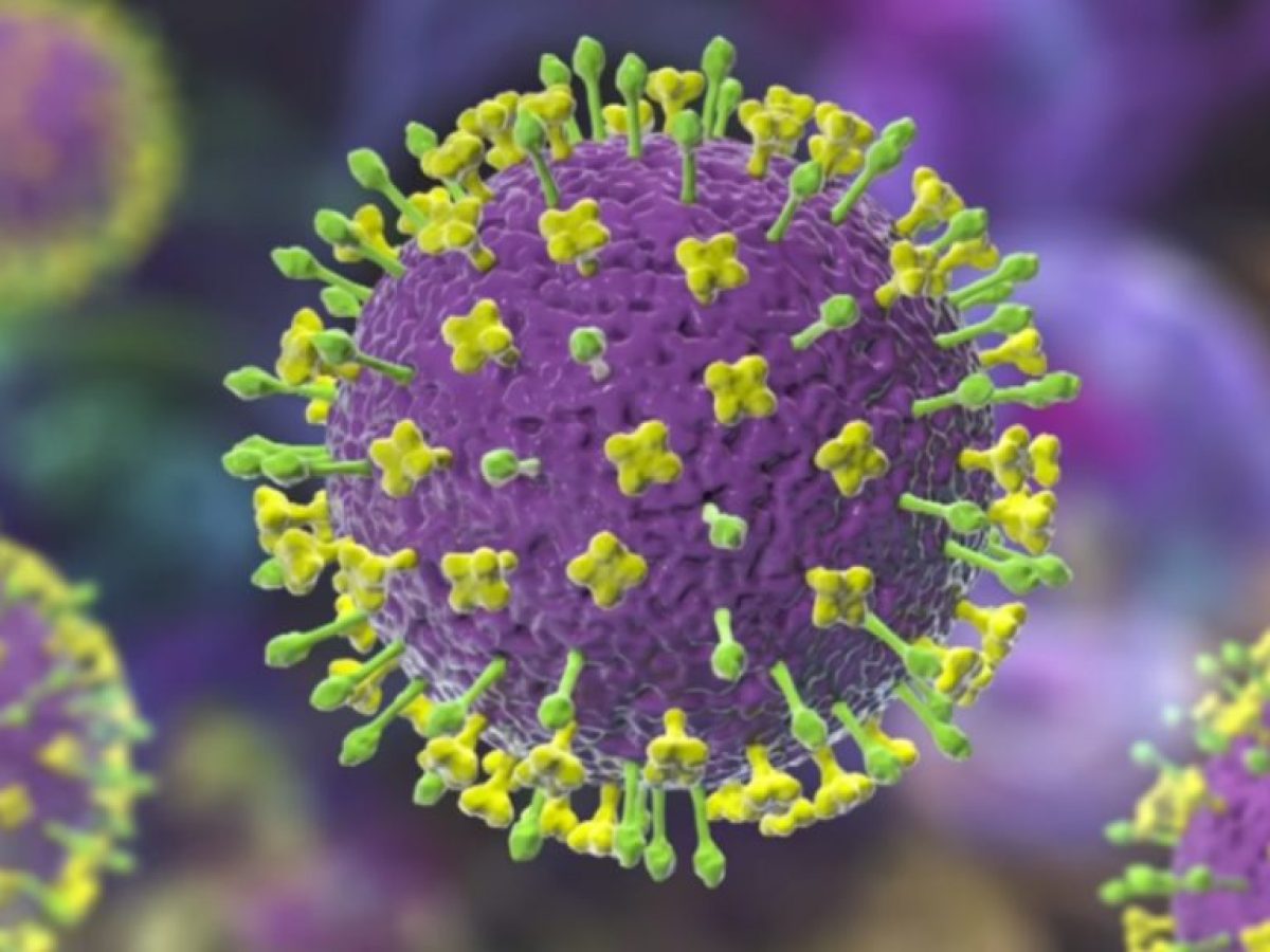 Θανατηφόρος ιός Νίπα: Πόσο πιθανό είναι να ξεφύγει εκτός Ινδίας; Ο ΠΟΥ απαντά