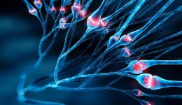 Angelini-Pharma-–-Quiver-Bioscience
