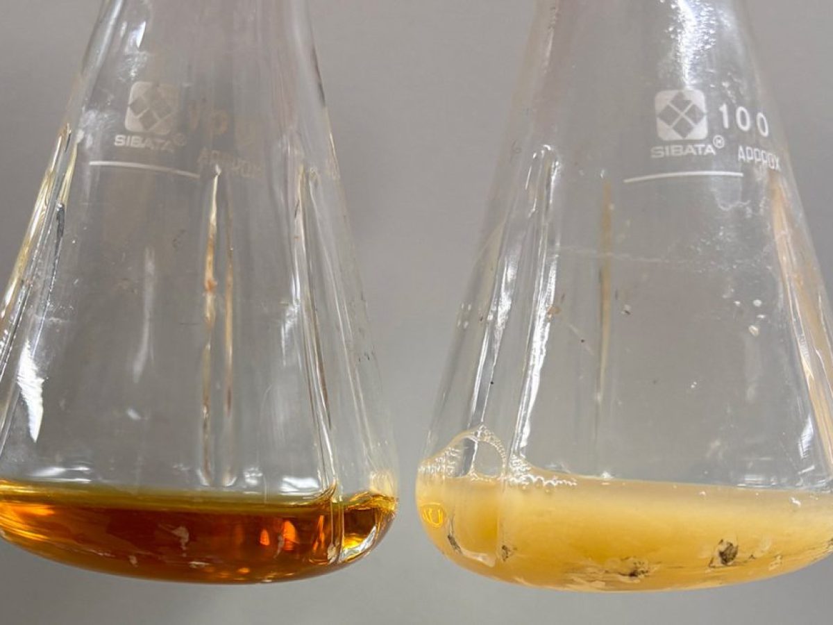 Ερευνητές κατάφεραν να μετατρέψουν βακτήριο σε «όπλο» κατά του καρκίνου και του HIV