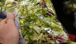 etimes-salates-ta-lathi-sti