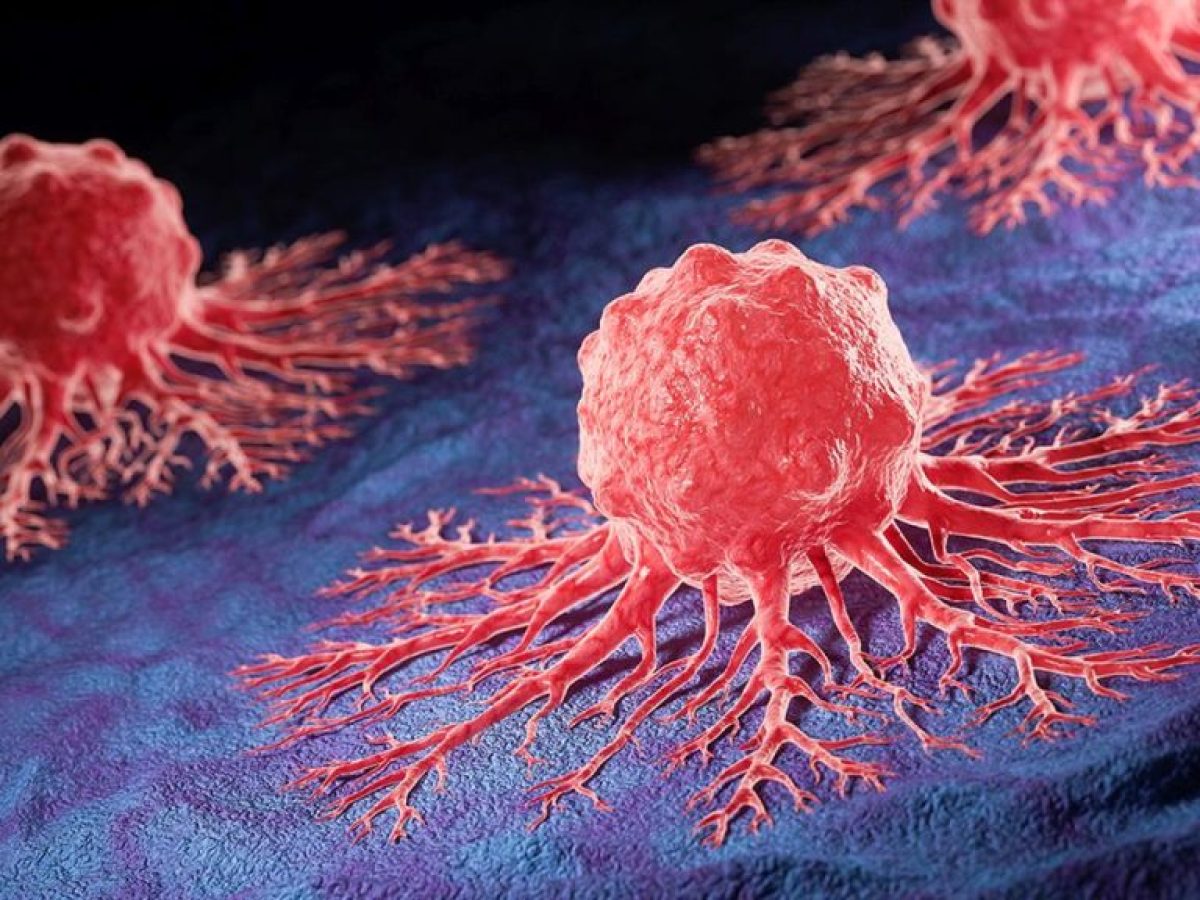 Οι 3D μικροόγκοι φέρνουν επανάσταση στις θεραπευτικές αποφάσεις