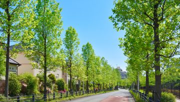 Η φύση έχει… φαβορί και η καρδιά σου επίσης