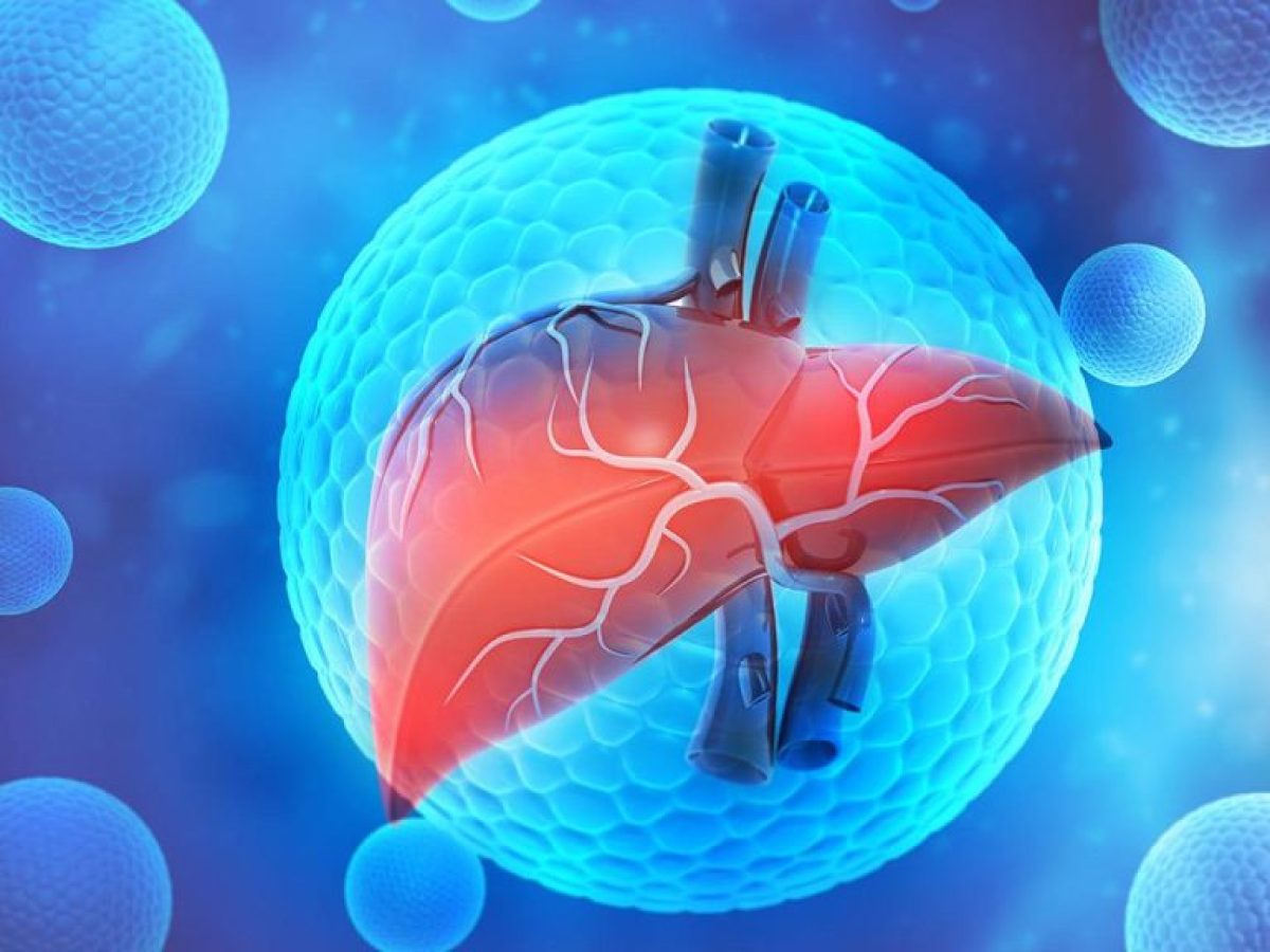 Ηπατοκυτταρικός καρκίνος: Η πρωτεΐνη που τον  πυροδοτεί, αλλά ανοίγει και τον δρόμο για ανοσοθεραπεία