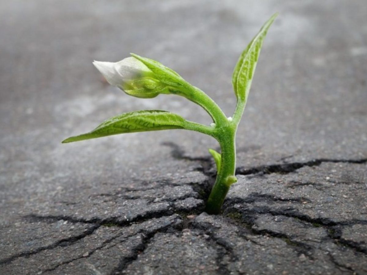 Μήπως ήρθε η ώρα για ένα restart και να δεις τα πράγματα αλλιώς;