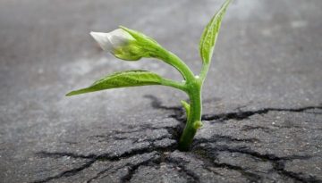 &Mu;ή&pi;&omega;&sigmaf; ή&rho;&theta;&epsilon; &eta; ώ&rho;&alpha; &gamma;&iota;&alpha; έ&nu;&alpha; restart &kappa;&alpha;&iota; &nu;&alpha; &delta;&epsilon;&iota;&sigmaf; &tau;&alpha; &pi;&rho;ά&gamma;&mu;&alpha;&tau;&alpha; &alpha;&lambda;&lambda;&iota;ώ&sigmaf;;