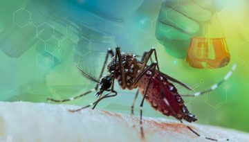 &Omicron; &iota;ό&sigmaf; Chikungunya &alpha;&pi;&epsilon;&iota;&lambda;&epsilon;ί &pi;&lambda;έ&omicron;&nu; &kappa;&alpha;&iota; &tau;&eta;&nu; &Epsilon;&upsilon;&rho;ώ&pi;&eta;