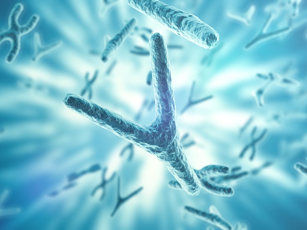 Πότε οι άνδρες χάνουν το χρωμόσωμα Υ; Από τι κινδυνεύουν;