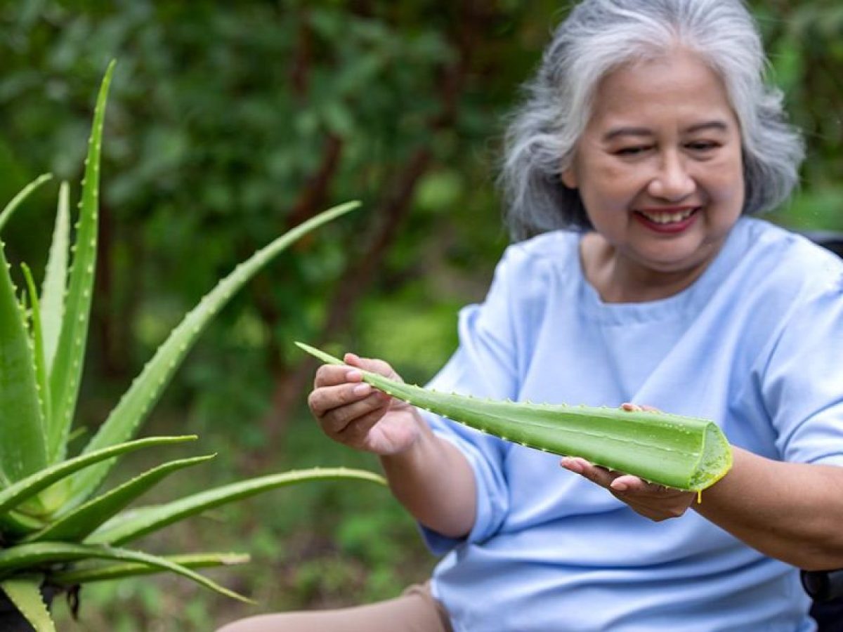 Σε ποιο φυτό επενδύουν οι ειδικοί για τη μάχη κατά της νόσου Alzheimer