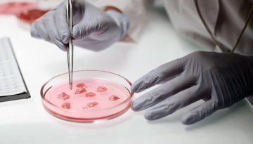 &Zeta;ή&tau;&eta;&mu;&alpha; &delta;&eta;&mu;ό&sigma;&iota;&alpha;&sigmaf; &upsilon;&gamma;&epsilon;ί&alpha;&sigmaf; &eta; &mu;&iota;&kappa;&rho;&omicron;&beta;&iota;&alpha;&kappa;ή &alpha;&nu;&tau;&omicron;&chi;ή &sigma;&epsilon; &beta;&alpha;&kappa;&tau;ή&rho;&iota;&alpha; &pi;&omicron;&upsilon; &mu;&epsilon;&tau;&alpha;&delta;ί&delta;&omicron;&nu;&tau;&alpha;&iota; &mu;έ&sigma;&omega; &tau;&rho;&omicron;&phi;ί&mu;&omega;&nu;
